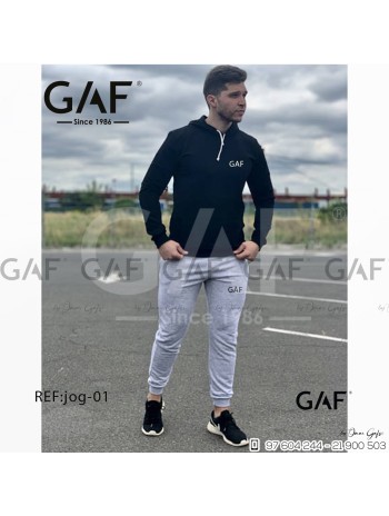 Ensemble GAF